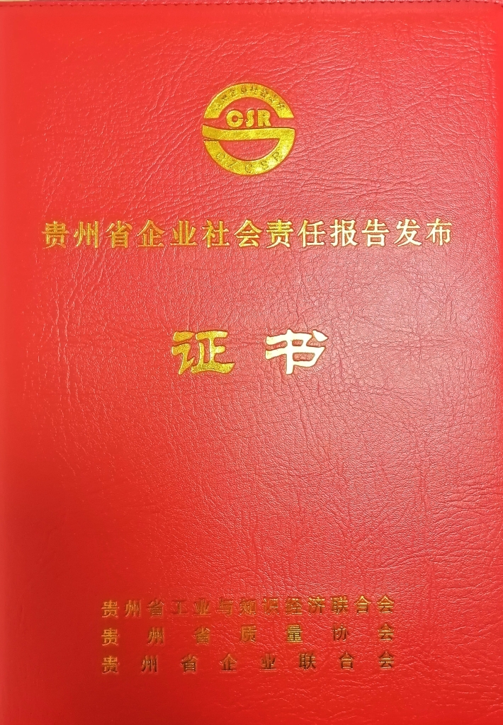 正大体育官方网站轮胎2018年社会责任报告